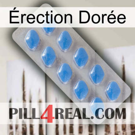 Érection Dorée 22